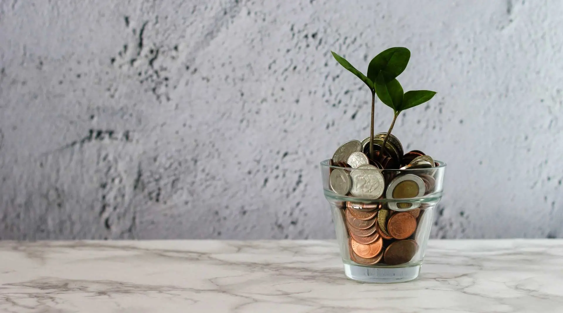 Glas med mønter og plante